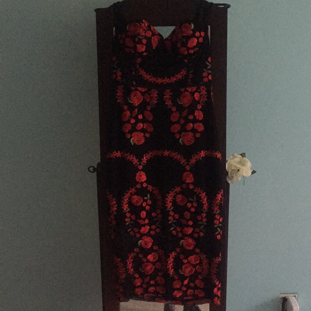 Nasty Gal Sworn to Secrecy embroidered dress - Picture 8 of 8